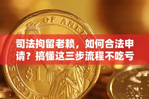 武汉司法拘留老赖，如何合法申请？搞懂这三步流程不吃亏！