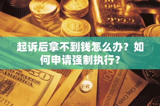 武汉起诉后拿不到钱怎么办？如何申请强制执行？