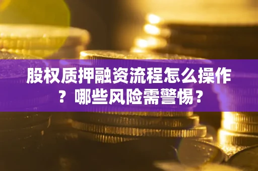 武汉股权质押融资流程怎么操作？哪些风险需警惕？