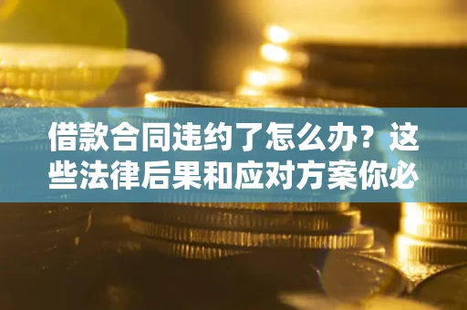 武汉借款合同违约了怎么办？这些法律后果和应对方案你必须知道