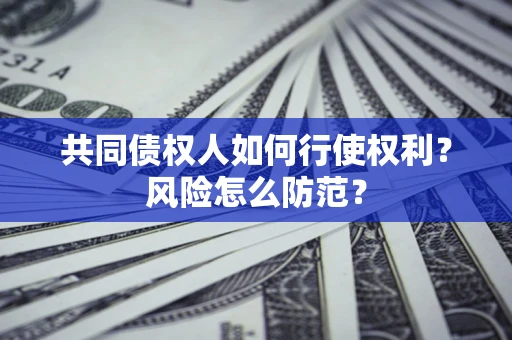 武汉共同债权人如何行使权利？风险怎么防范？