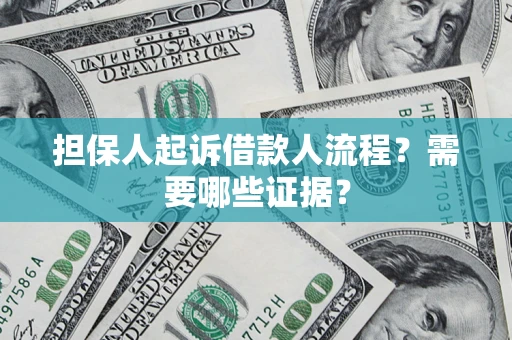 武汉担保人起诉借款人流程？需要哪些证据？