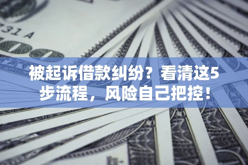 武汉被起诉借款纠纷？看清这5步流程，风险自己把控！