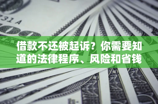 武汉借款不还被起诉？你需要知道的法律程序、风险和省钱技巧