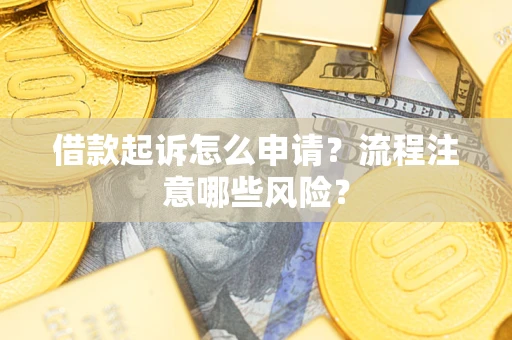 武汉借款起诉怎么申请？流程注意哪些风险？
