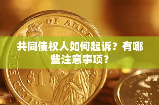 武汉共同债权人如何起诉？有哪些注意事项？